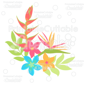 Tropical Plumeria & Heliconia Flowers SVG Cut Files