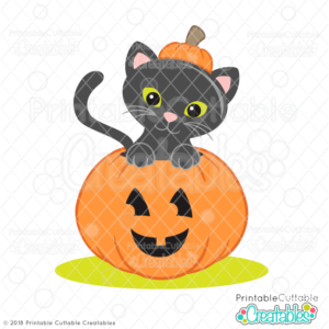 Halloween Cat in Pumpkin SVG File