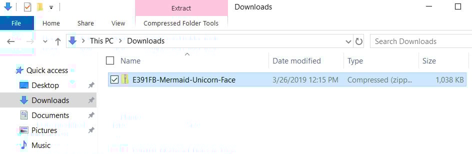 SVG Zip file downloaded to computer