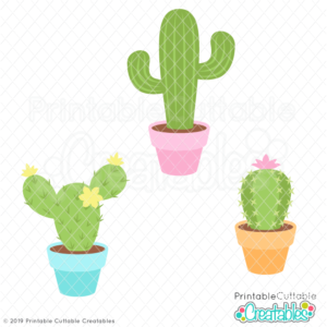 Potted Cactus Trio SVG File & Clipart