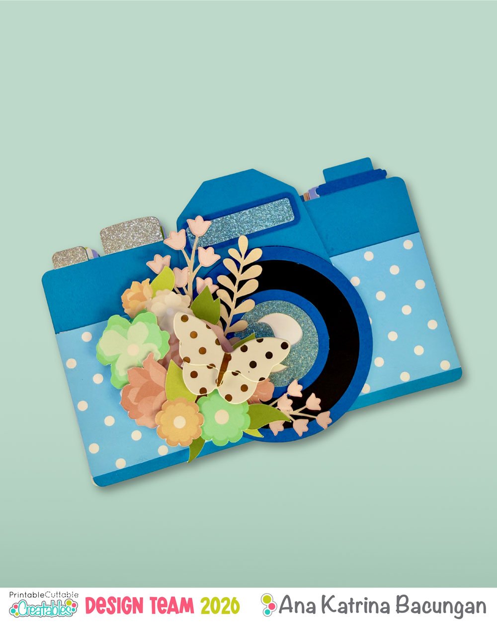 Vintage Camera Mini Album 3 1 1