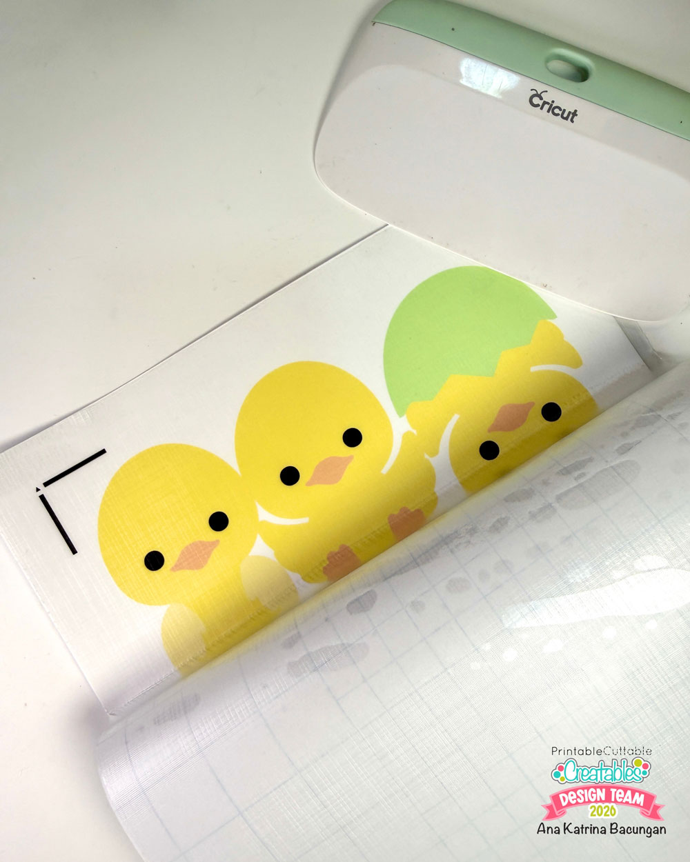 Easter Chicks Craft Kit (3)