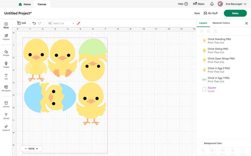 Screenshot 2026-03-13 at 1.01.34 PM.png 