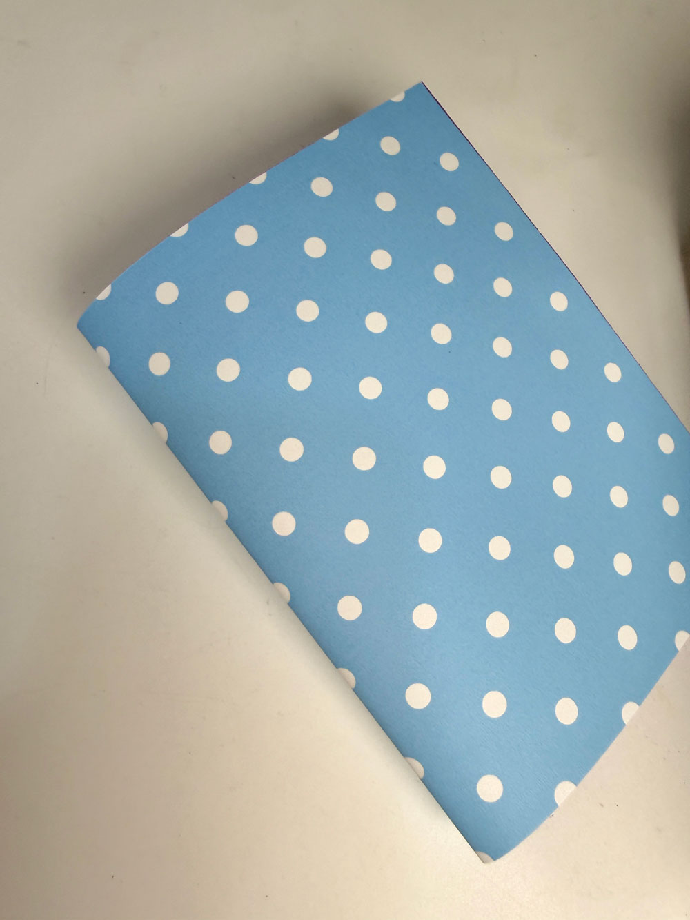 Spring Traveler’s Notebook Tutorial 10 Spring Traveler’s Notebook Tutorial