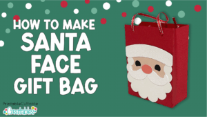 Santa Face Gift Bag Assembly - D185
